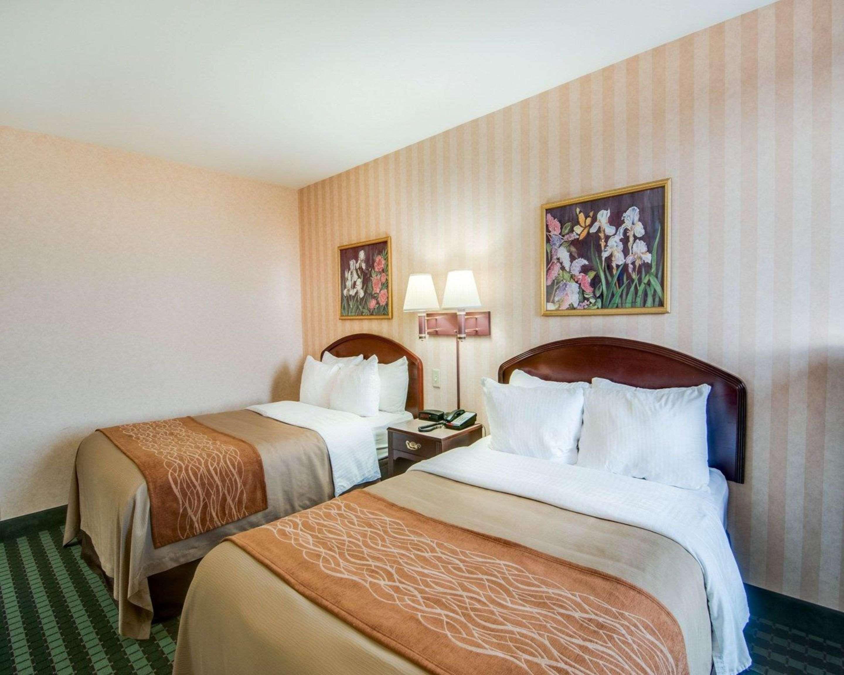 Comfort Inn Airport Roanoke Bagian luar foto